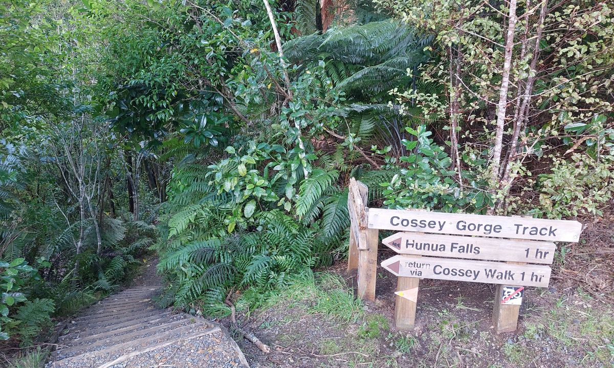 Hunua Falls - Cossey Massey Loop, Auckland