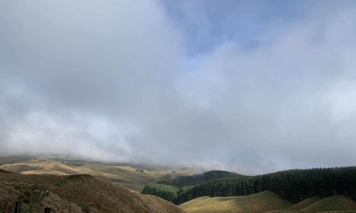 Pipiwharauroa Trail, Waikato