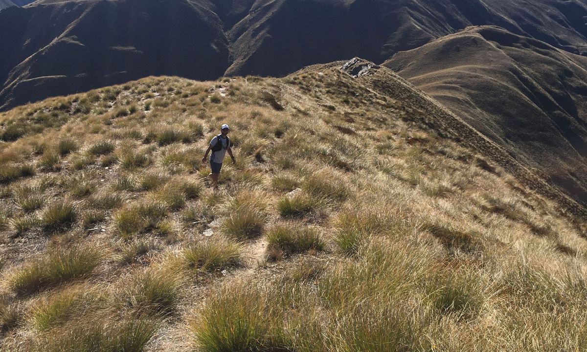 Arrowtown Gold, Otago