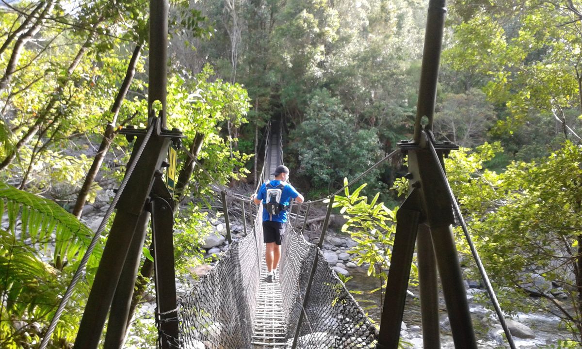 Pinnacles & Billy Goat, Waikato
