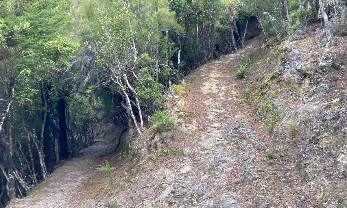 The golden Waikakaho trail, Marlborough