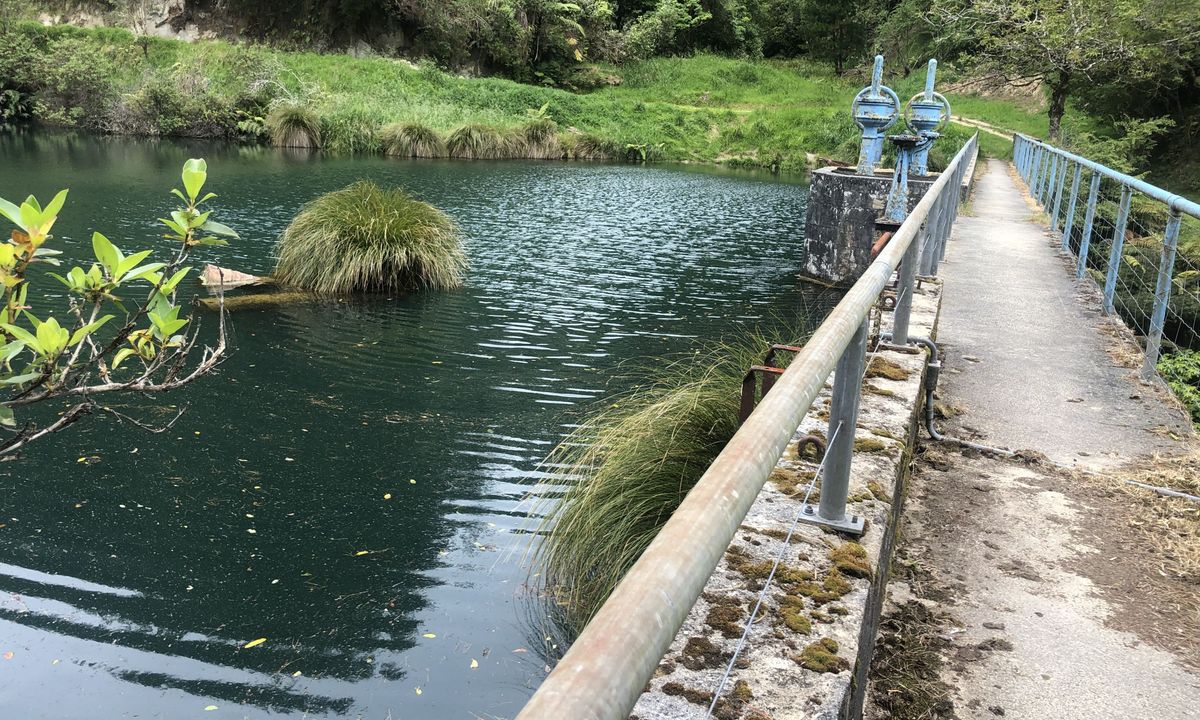 Waitahinga Dam Loop, Manawatu - Wanganui