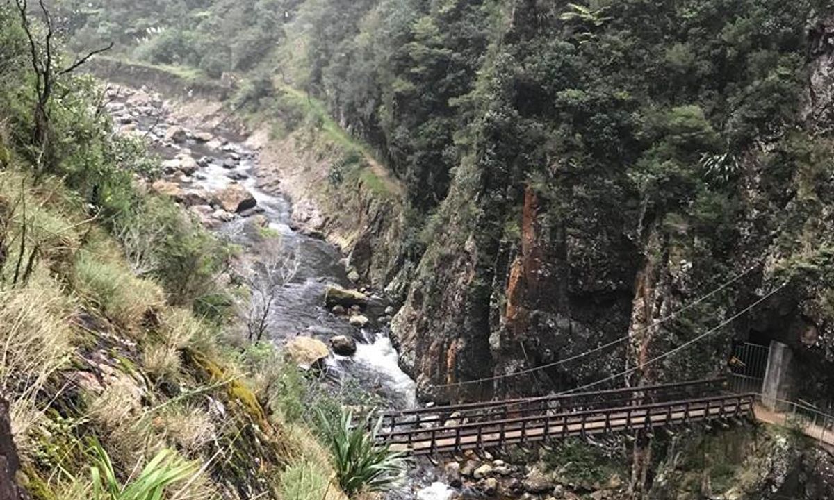 Swingbridges & Tunnels, Waikato