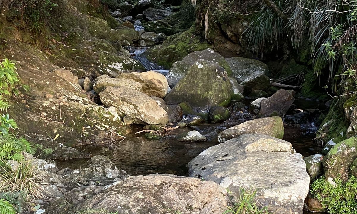 Wentworth Valley Falls, Waikato
