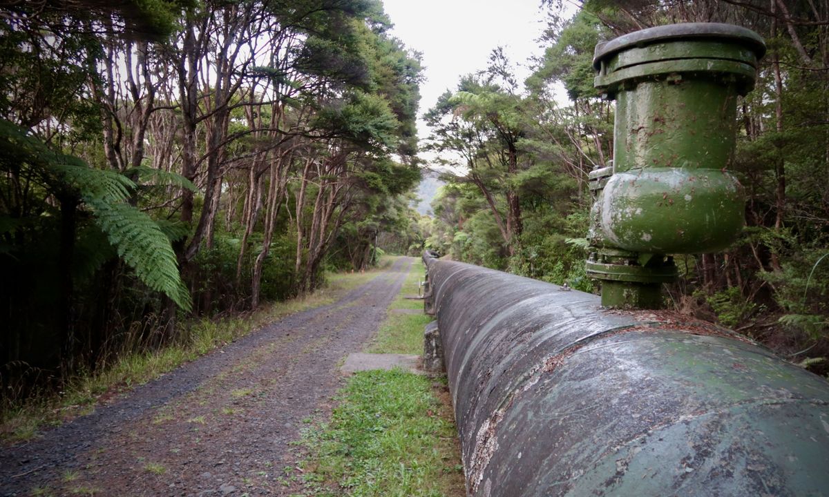 Slip Track from Titirangi, Auckland
