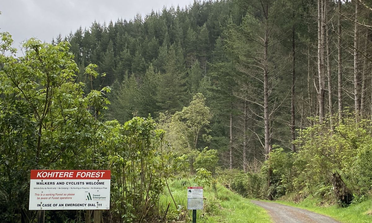 Muhunoa Loop Lung Buster , Manawatu - Wanganui