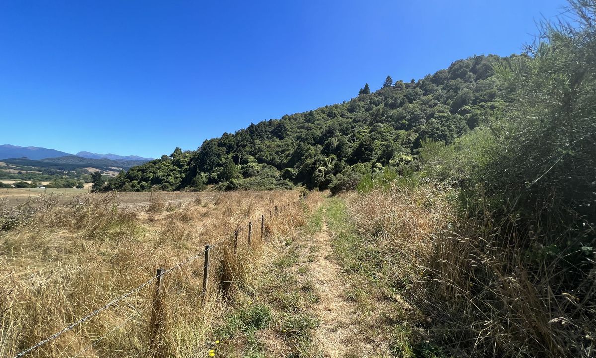 Tapawera Taster, Tasman