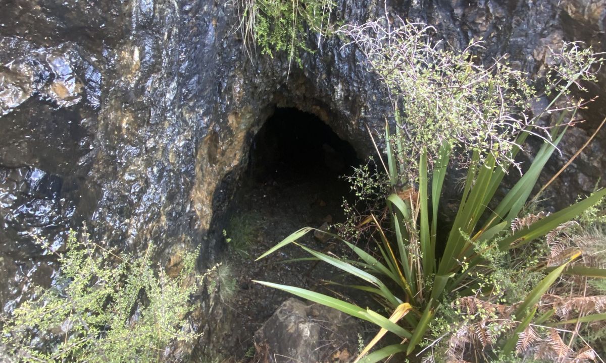 Hacket Chromite Mine Loop, Tasman