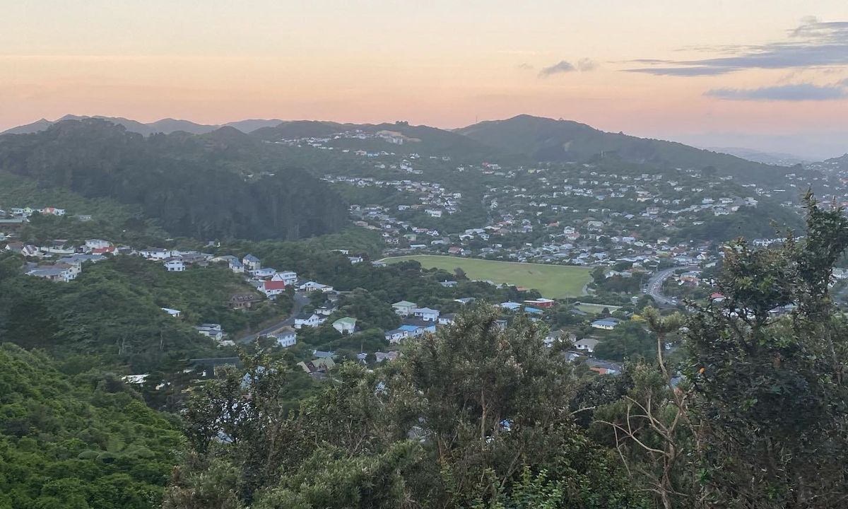 Mid Makara Magic, Wellington
