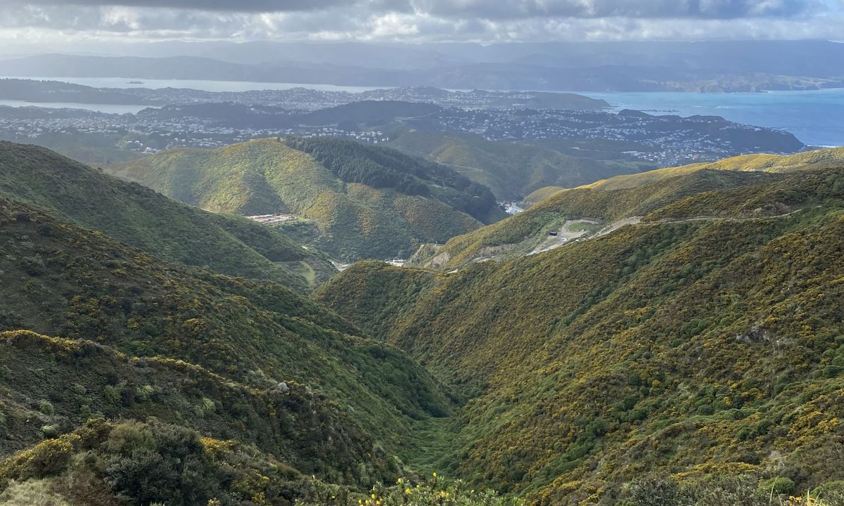 WUU2k - 42km Route, Wellington