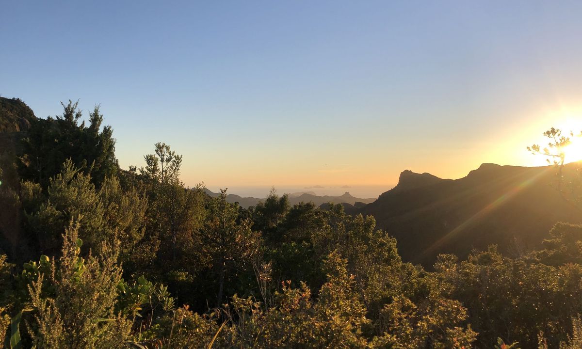Pinnacles & Billy Goat, Waikato