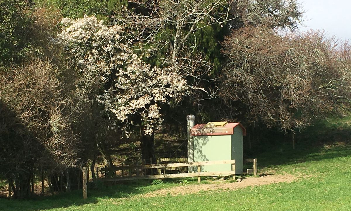 Waiopehu Gable Grunt, Manawatu - Wanganui