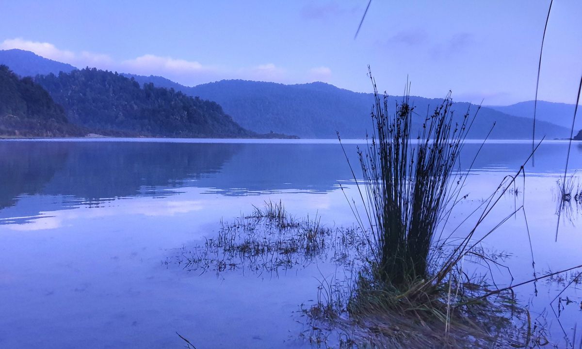 Lake Waikaremoana Great Walk, Hawkes Bay