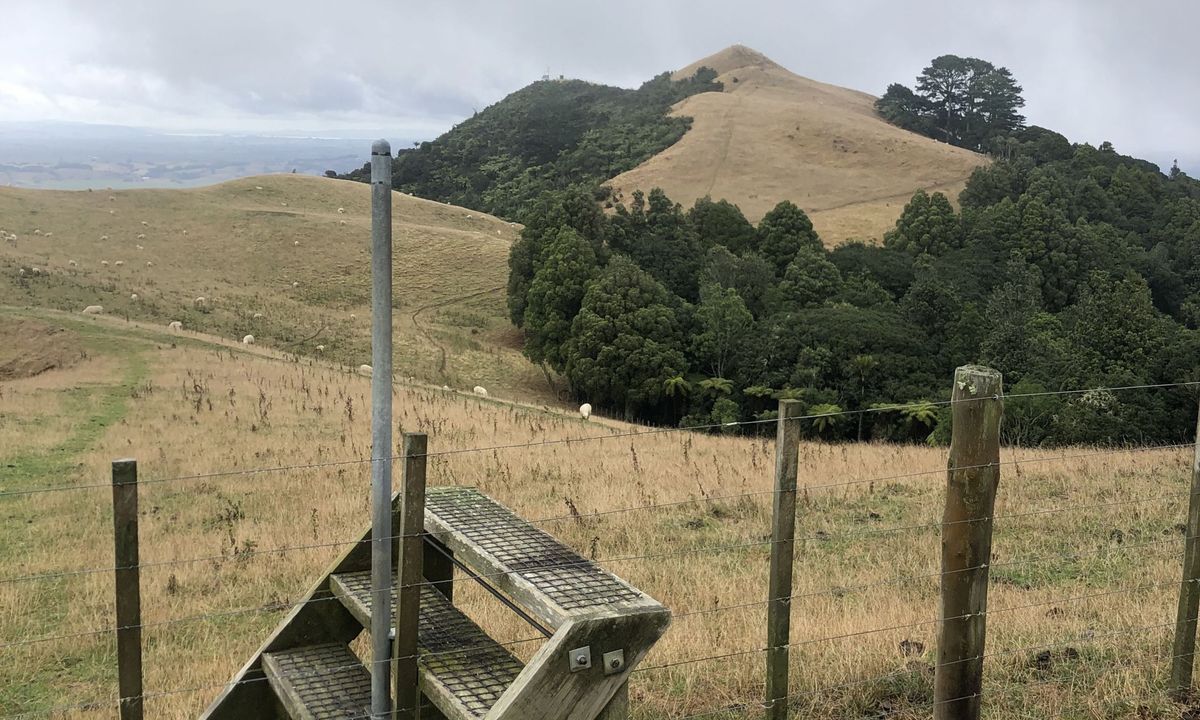 Mt William Wacky Walkway, Auckland