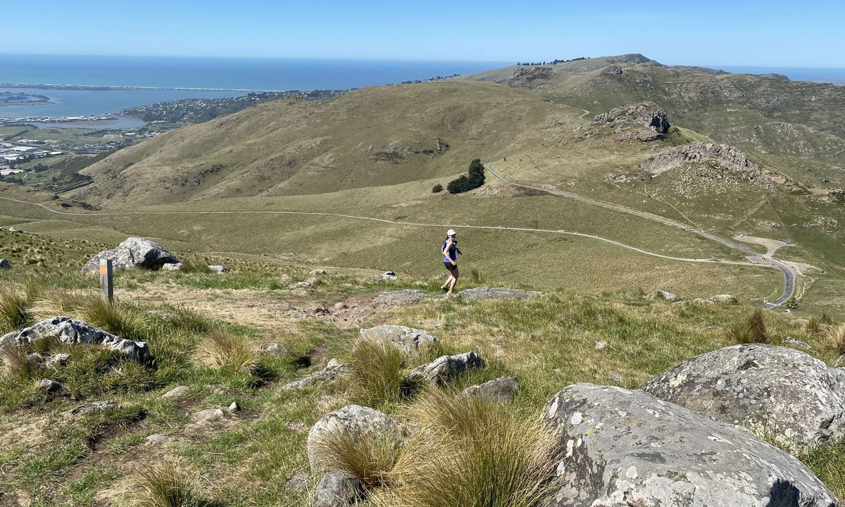 Sign Of The Takahe - Rapaki, Canterbury