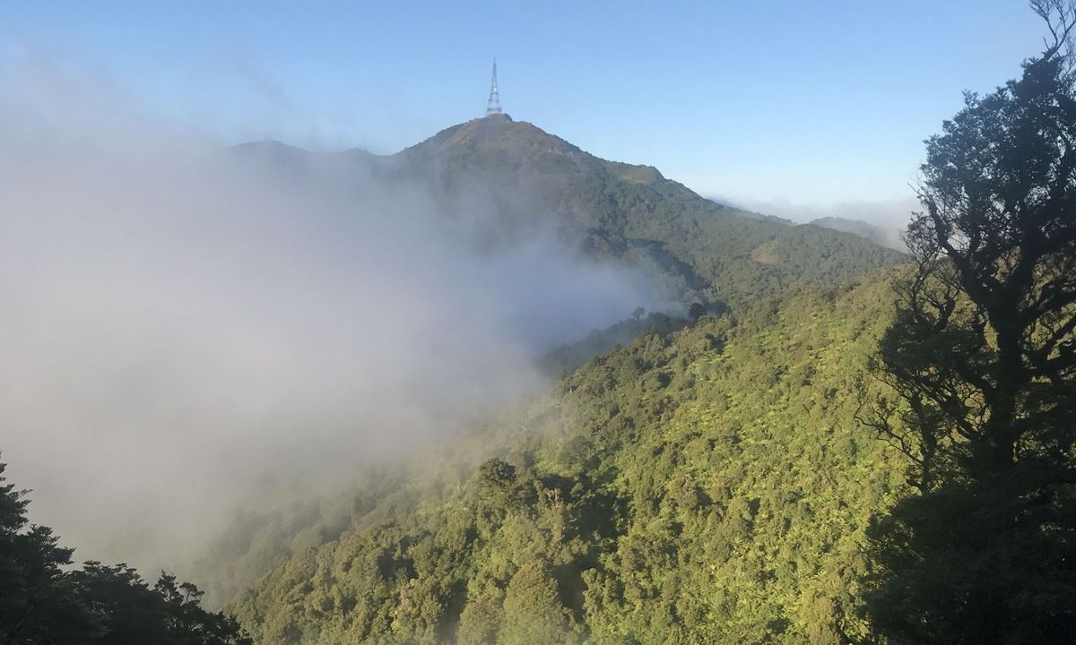 Te Aroha Killer Loop, Waikato