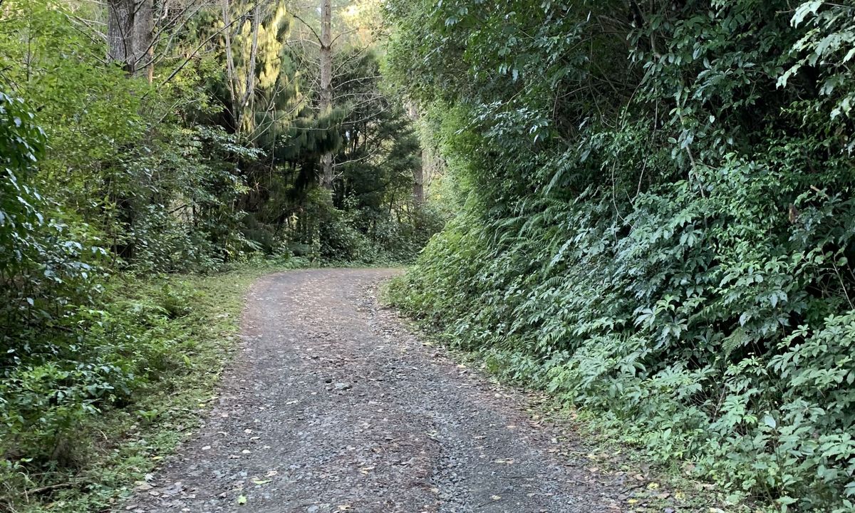 Muhunoa Loop Lung Buster , Manawatu - Wanganui