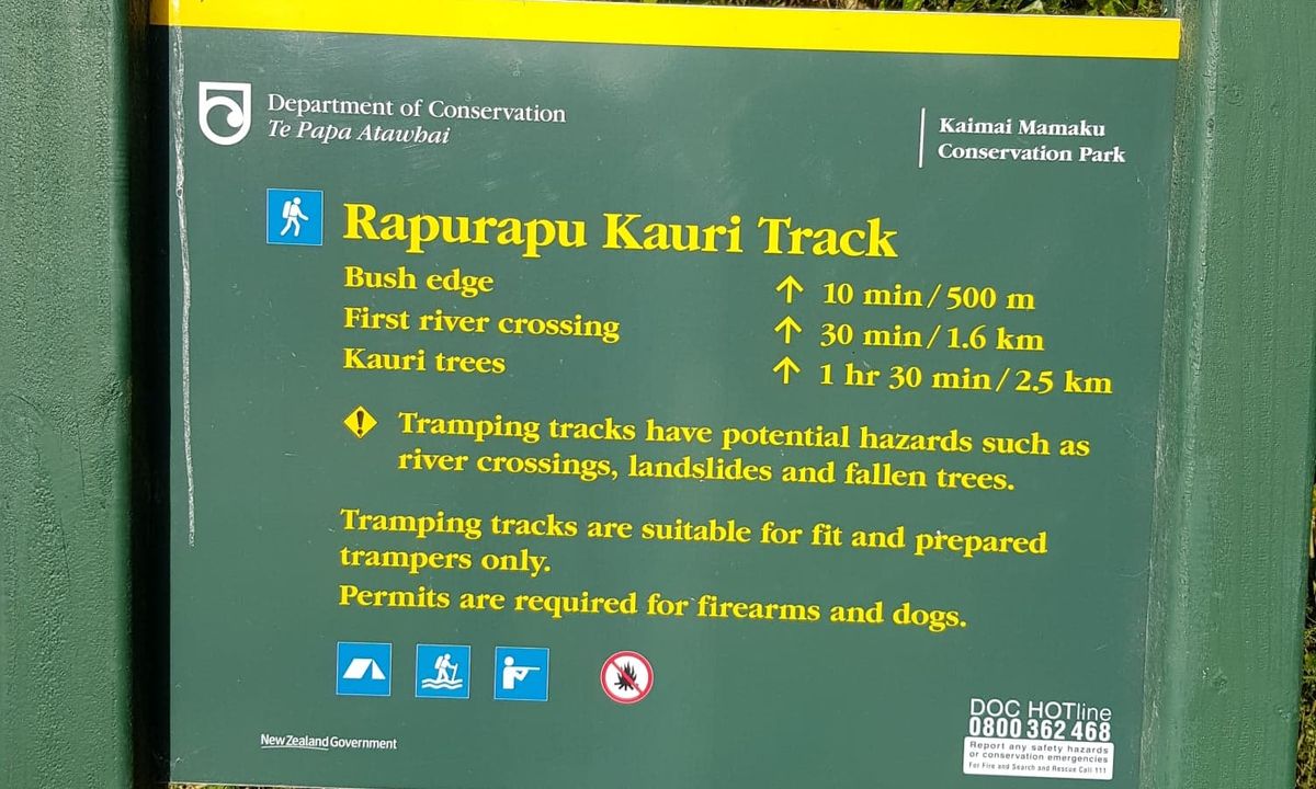 Rapurapu Kauri Track, Waikato