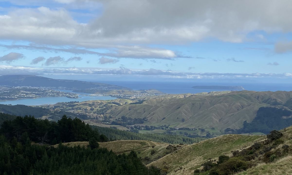 Battle Hill - Puketiro Loop, Wellington