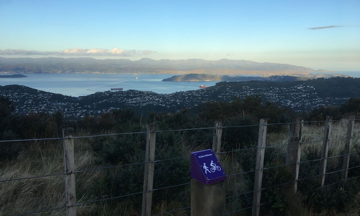 Chartwell-Skyline Loop, Wellington
