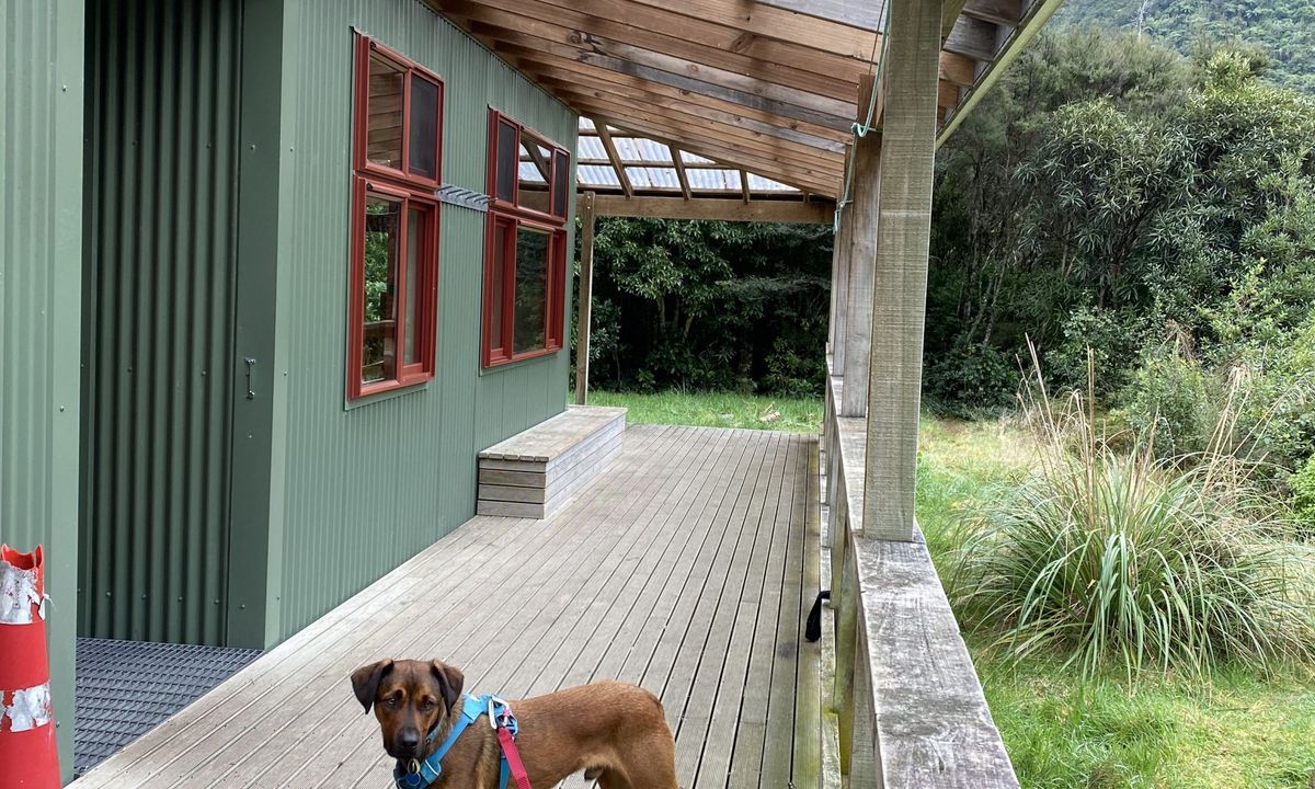 Holdsworth Lodge to Totara Flats Hut and return, Wellington