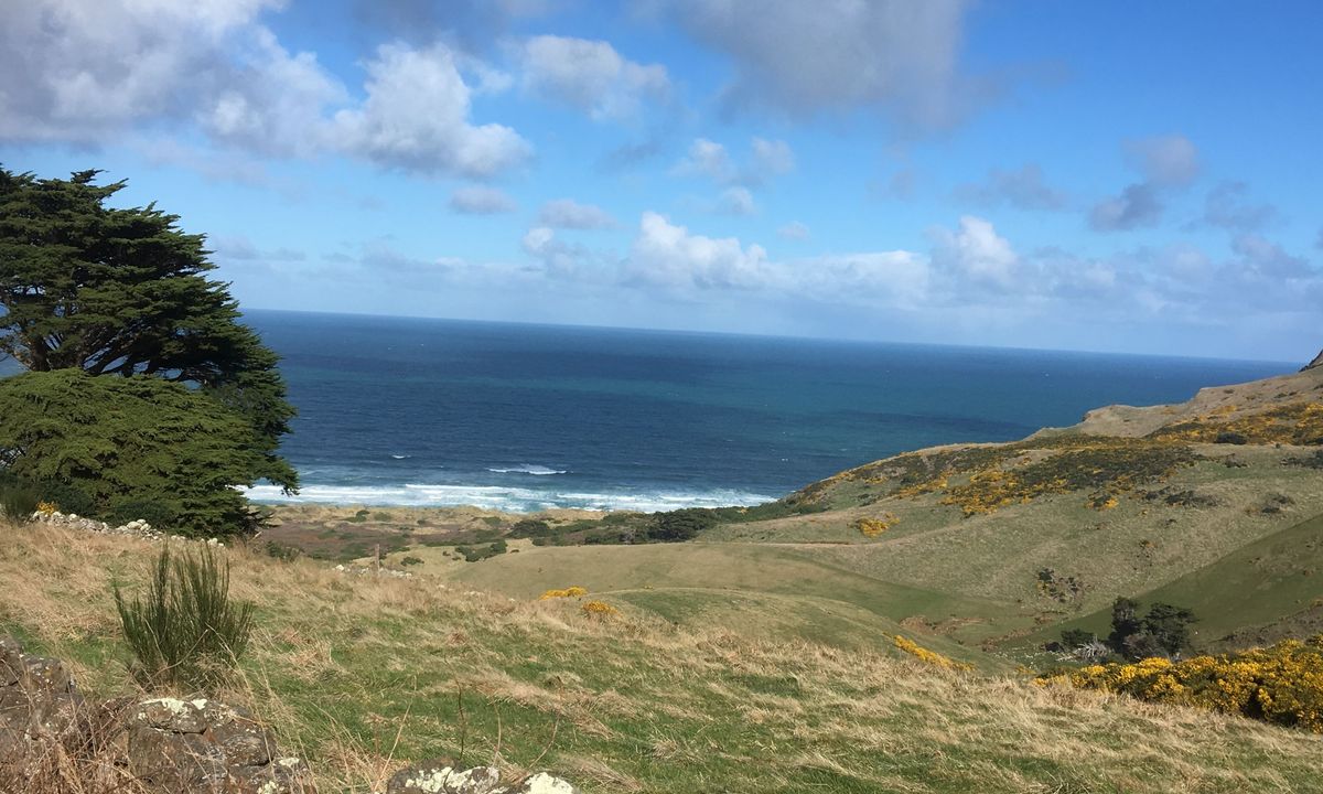 Karetai, Highcliff, Paradise and Greenacres, Otago