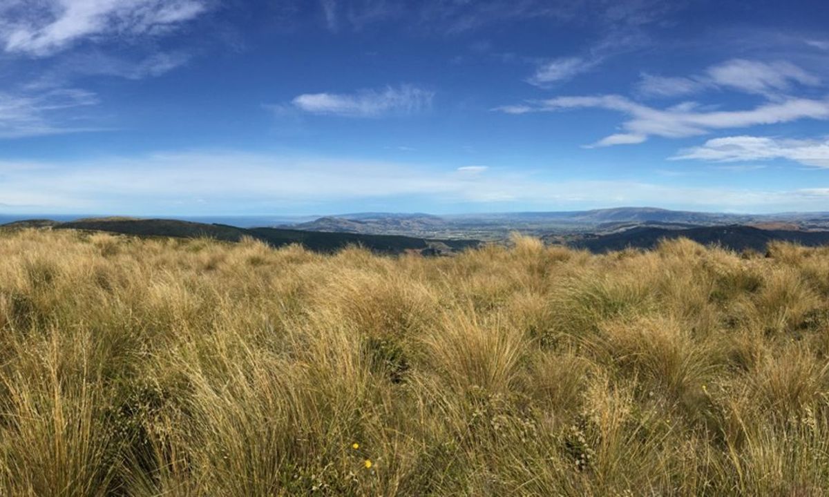 Green Hill via Swampy, Otago