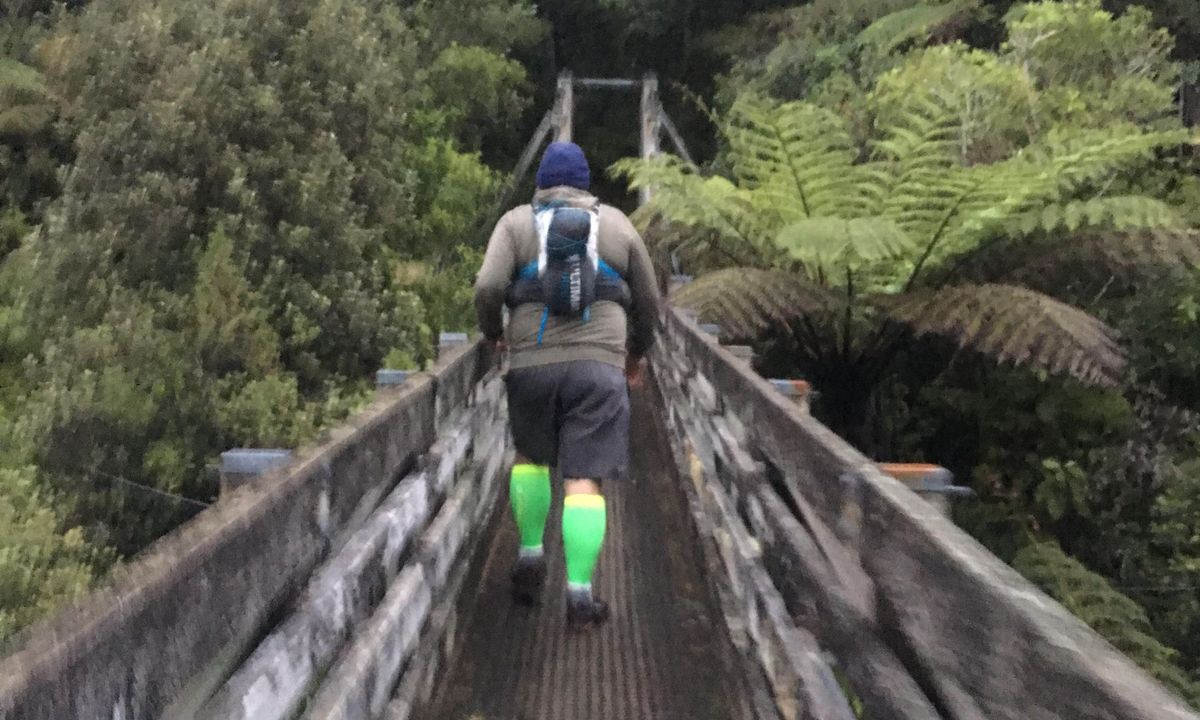 Suspension Bridge Track , Auckland