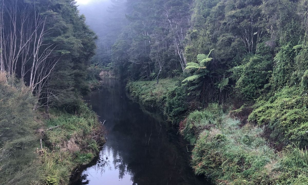 Hunua Falls - Cossey Massey Loop, Auckland