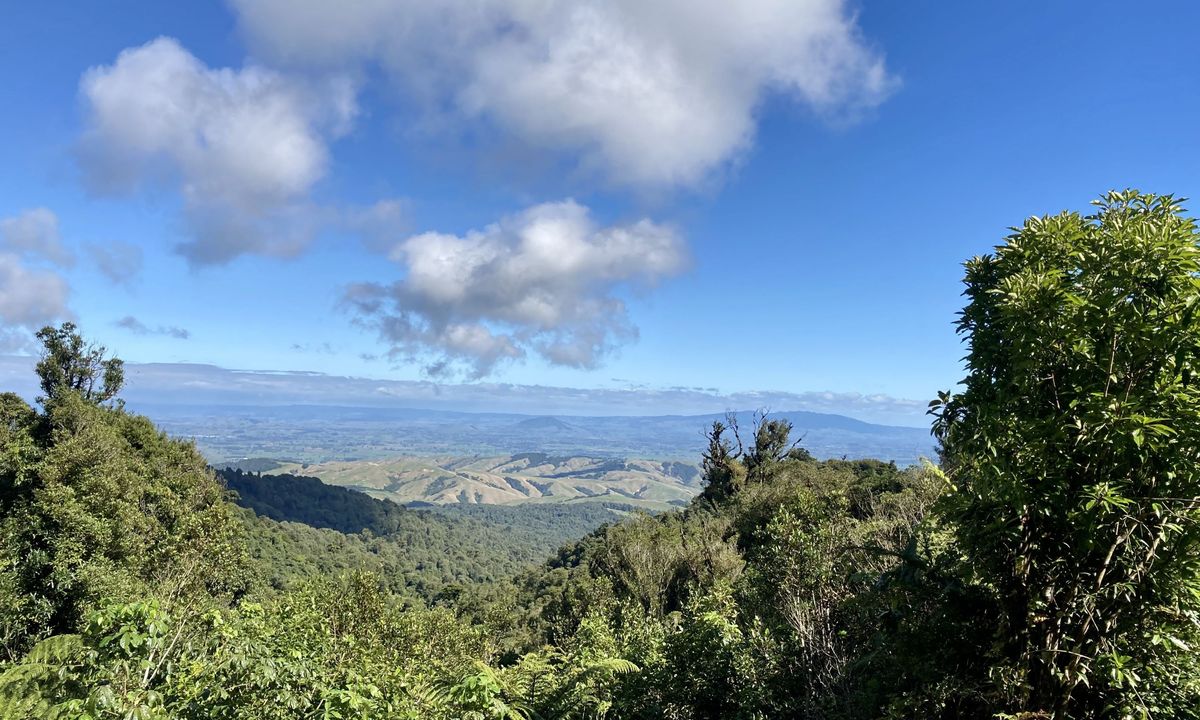 Maungatautari Sanctuary Mountain, Waikato