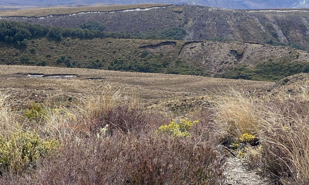 Silica Rapids trail, Manawatu - Wanganui
