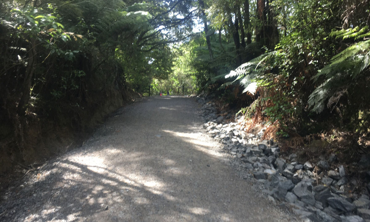 Puhinui Stream Forest Trail, Auckland