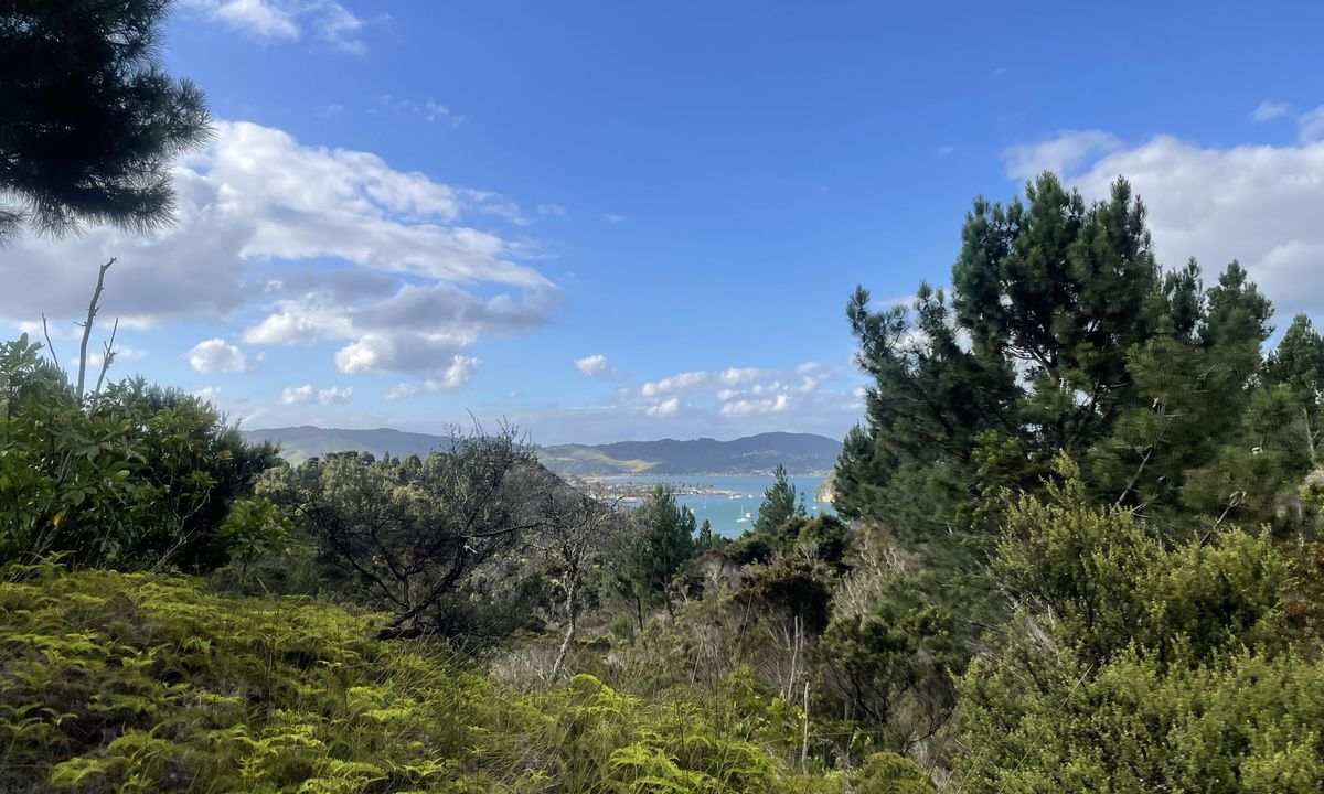 Ferry Landing to Hidden Bay, Waikato