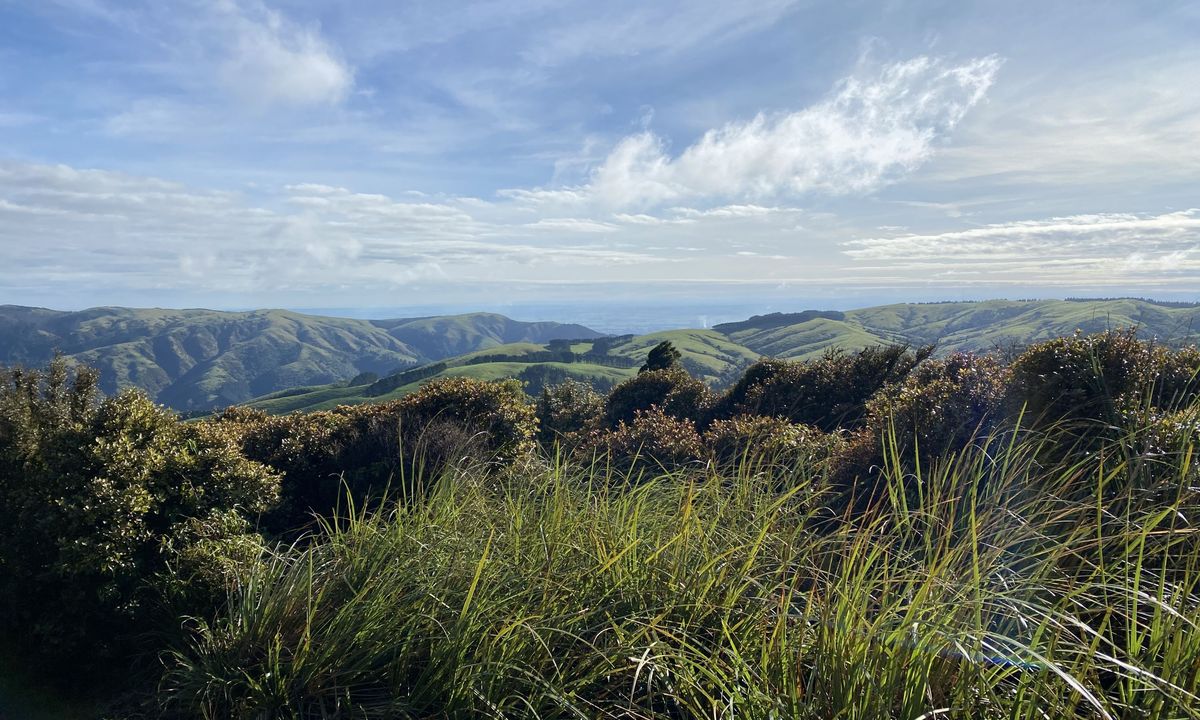 Sledge Track with Toetoe Loop & Otangane Loop, Manawatu - Wanganui