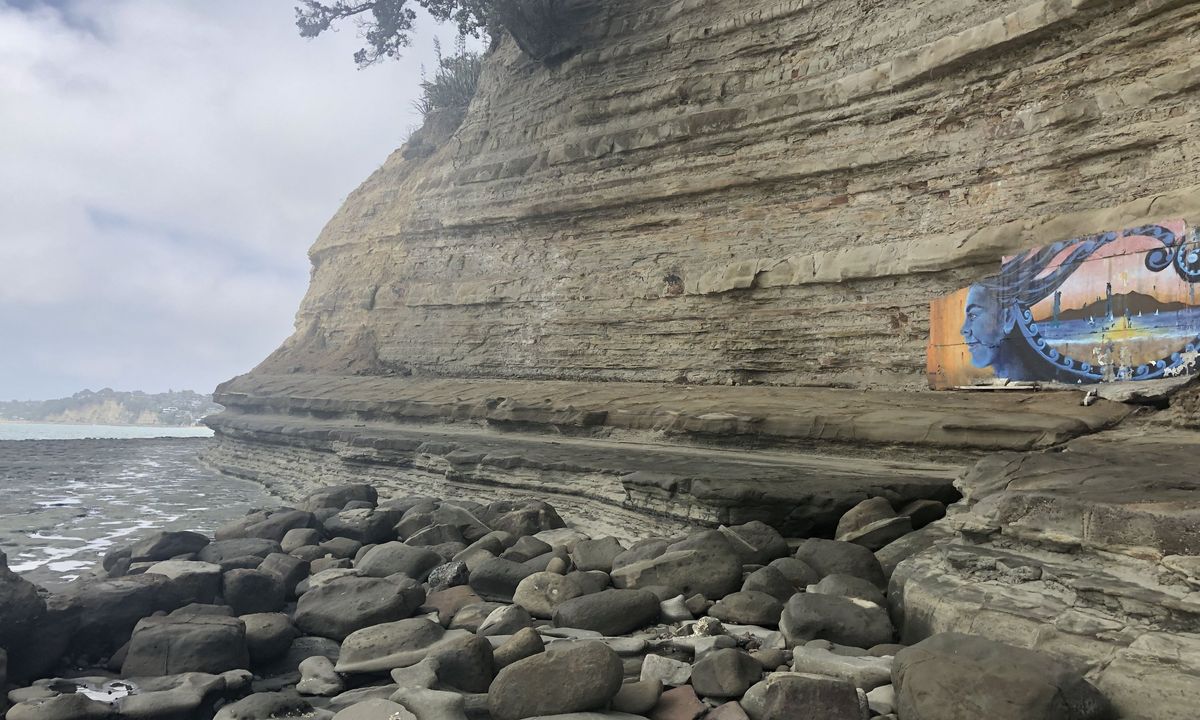 Campbells to Browns Bay, Auckland