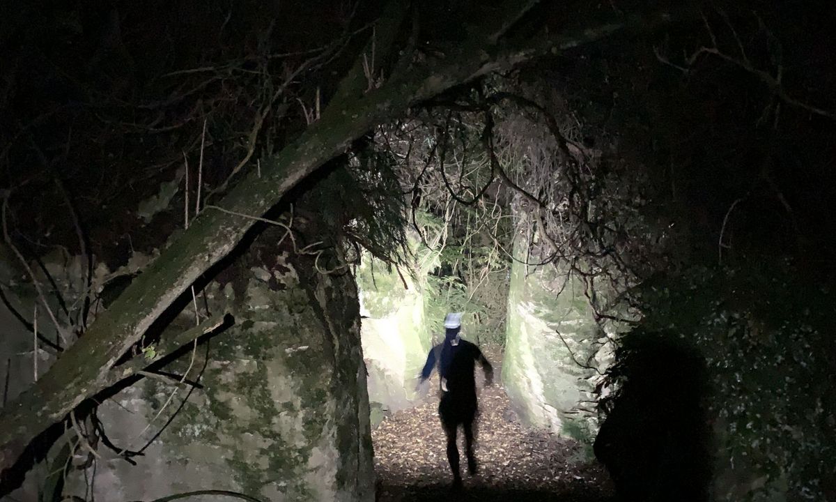 Forrest Hill Track, Southland
