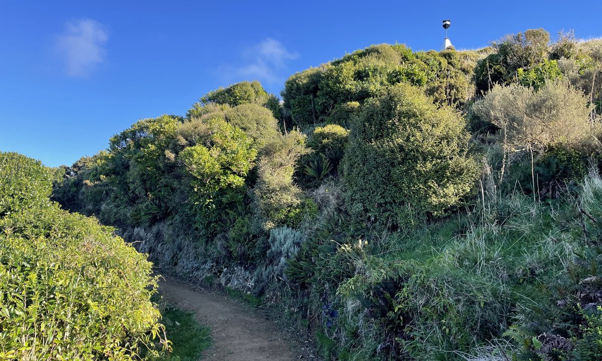 Colonial Knob - All the Hills, Wellington