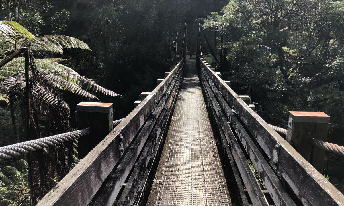 Suspension Bridge Track , Auckland