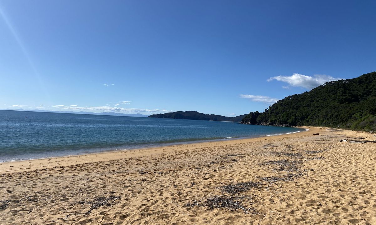 Awaroa Beach & Coffee, Tasman