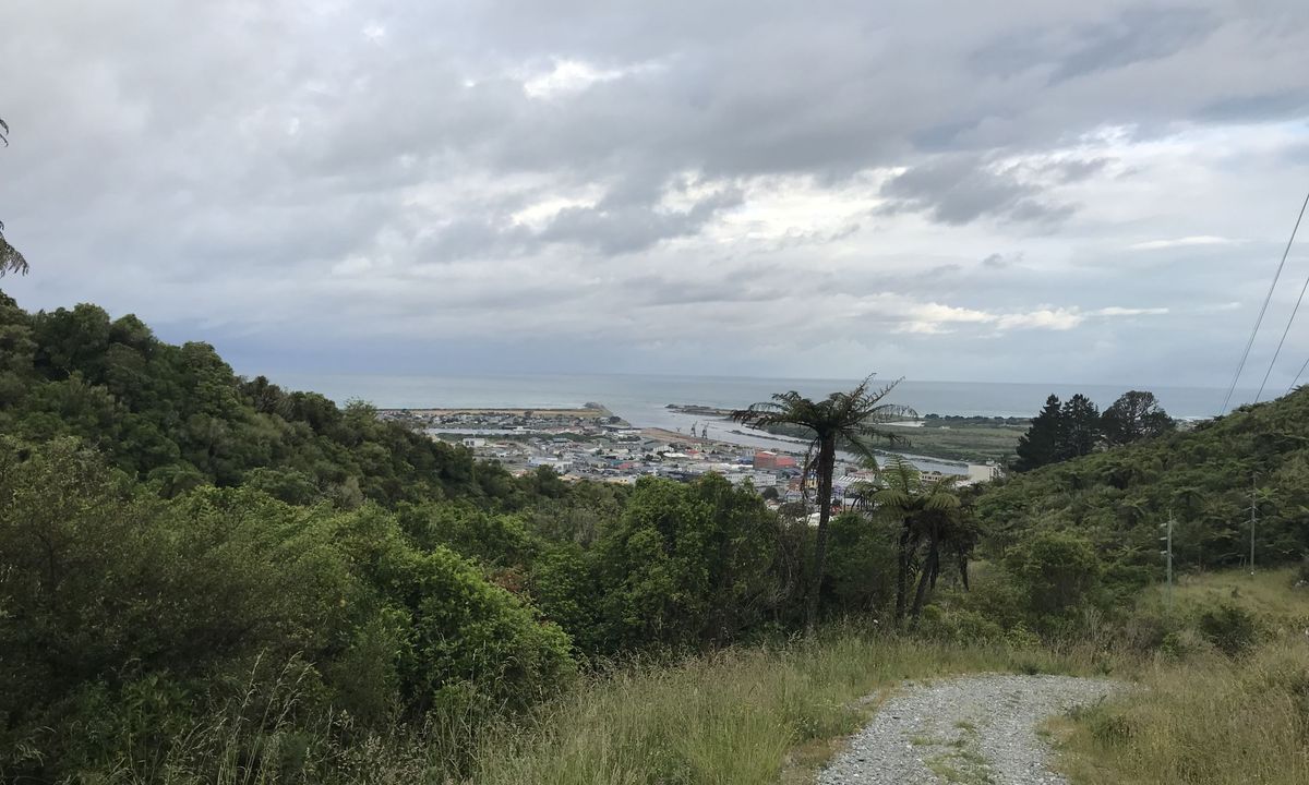 Tuatara Trail Run, West Coast