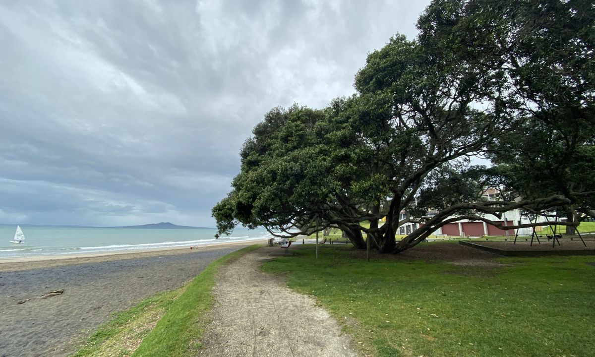 Campbells to Browns Bay, Auckland