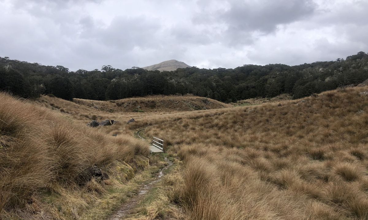 Salisbury over Arthur, Tasman