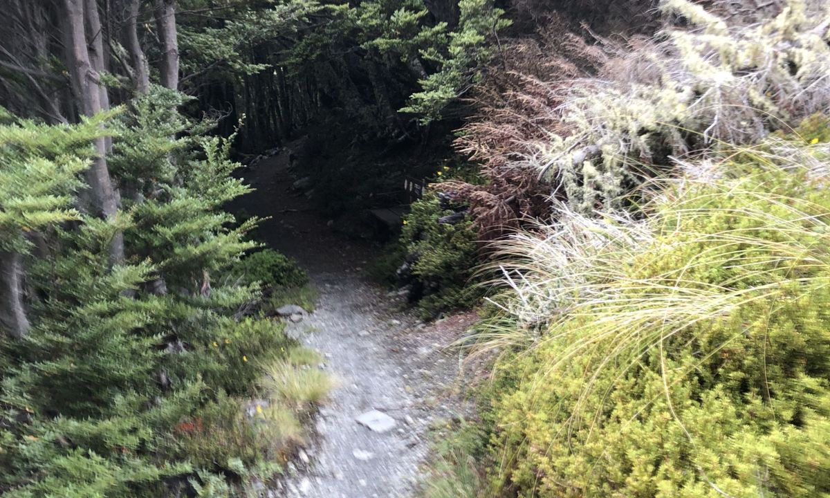 The Edge loop, Canterbury