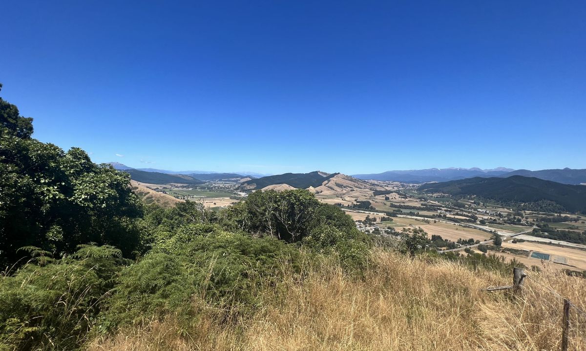 Tapawera Taster, Tasman