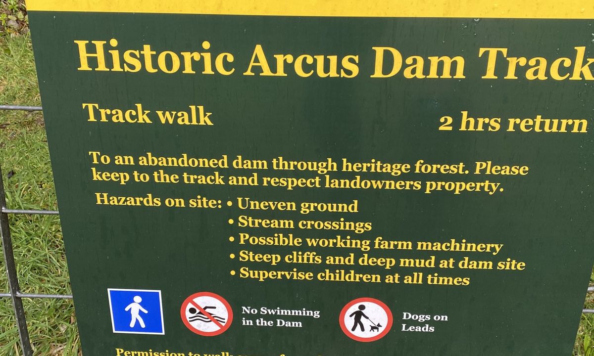Arcus Dam Track, Wellington