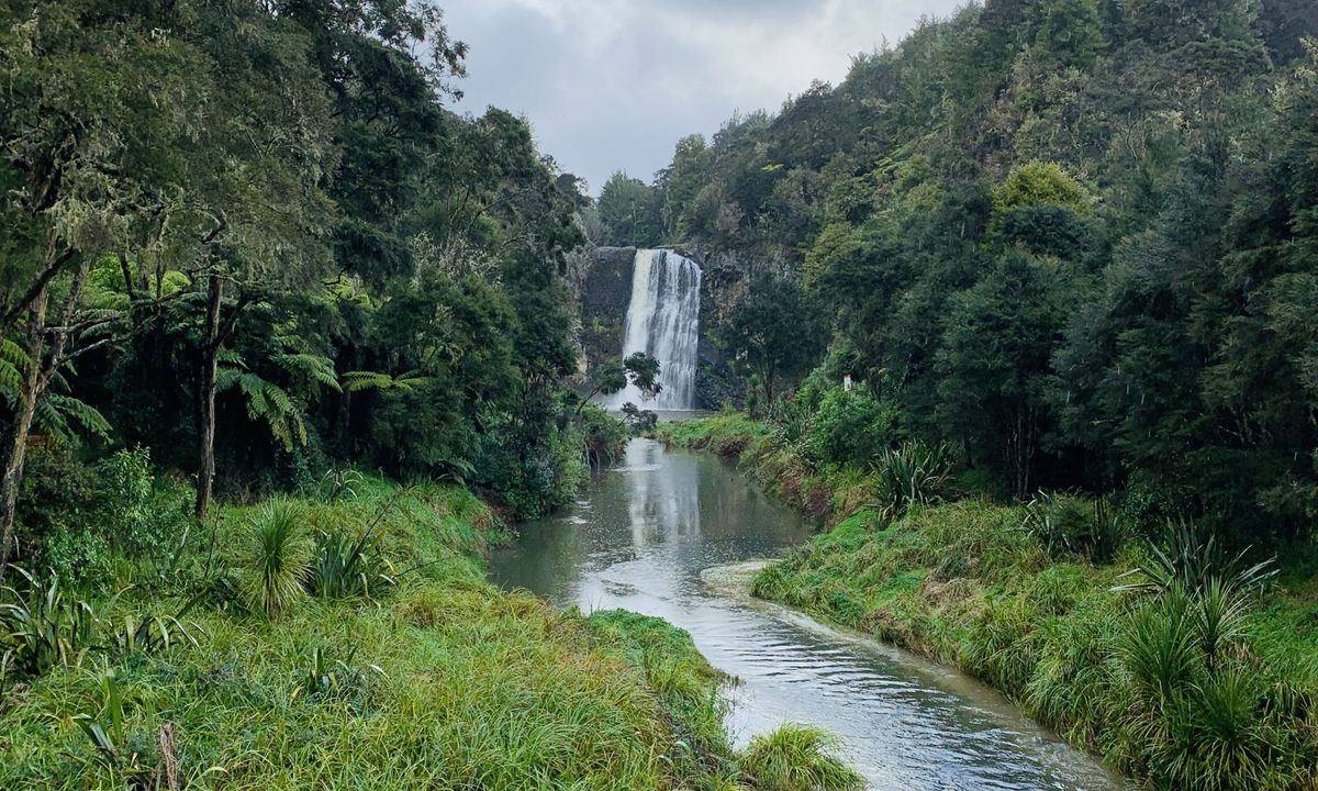 Hunua Falls - Cossey Massey Loop, Auckland
