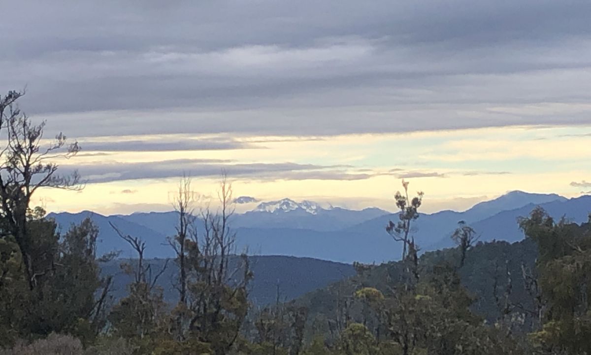 Mt Watson Croesus Loop, West Coast