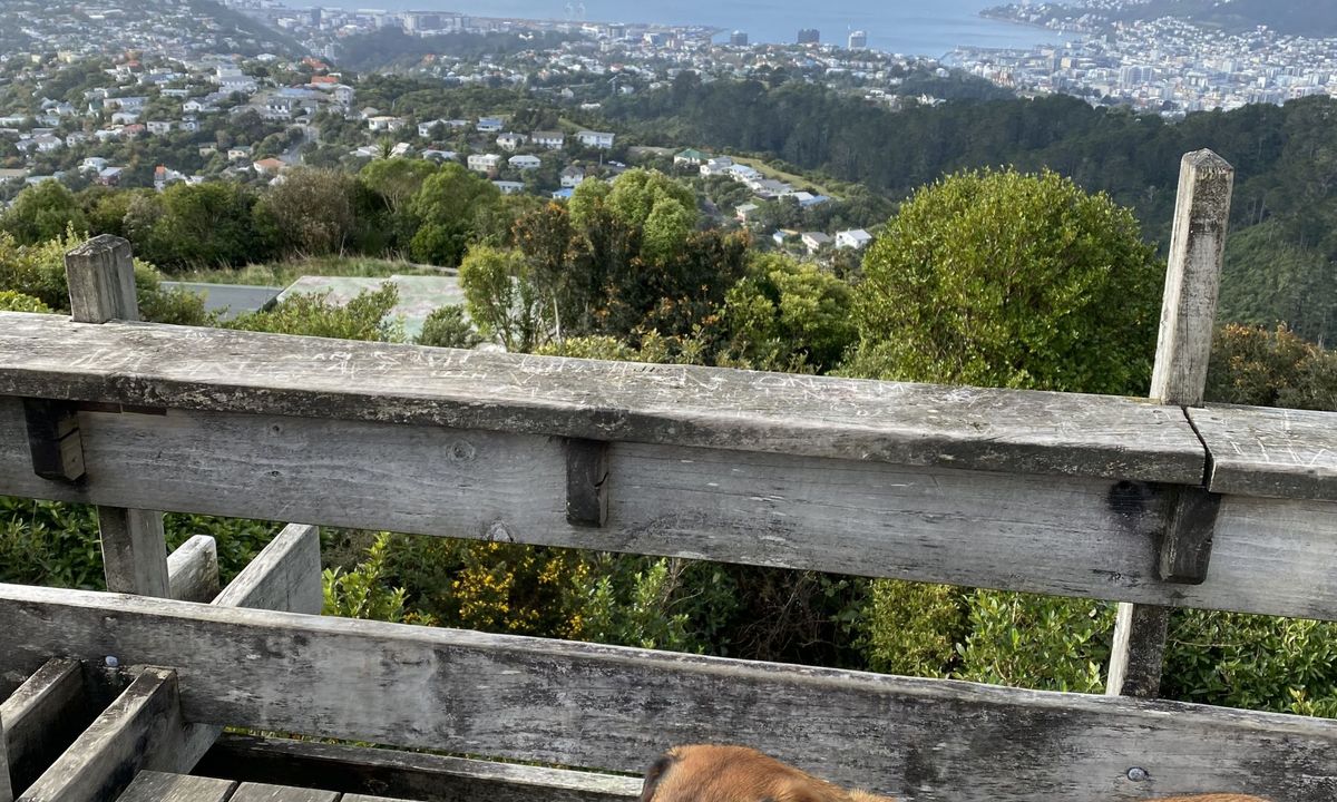 Biblical, Wellington
