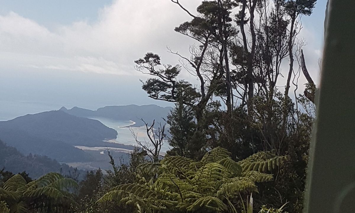 Abel Tasman Inland-Coastal Circuit, Tasman