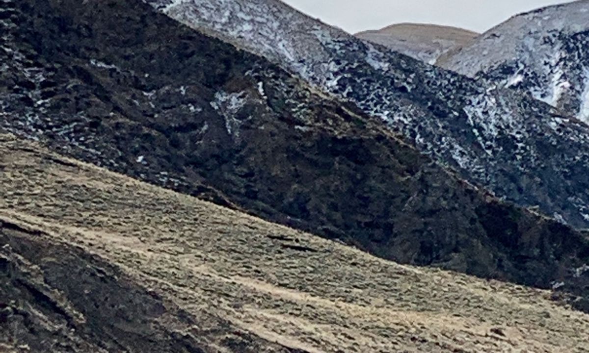 Mt Somers Woolshed Loop, Canterbury